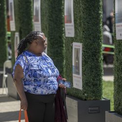 SACRAMENTO, Calif., April 9,  2019

Survivors Speak conference in Sacramento, Calif., April 9, 2019.

Photo by Robert Durell