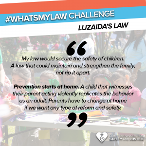 #WhatsMyLaw Luzaida